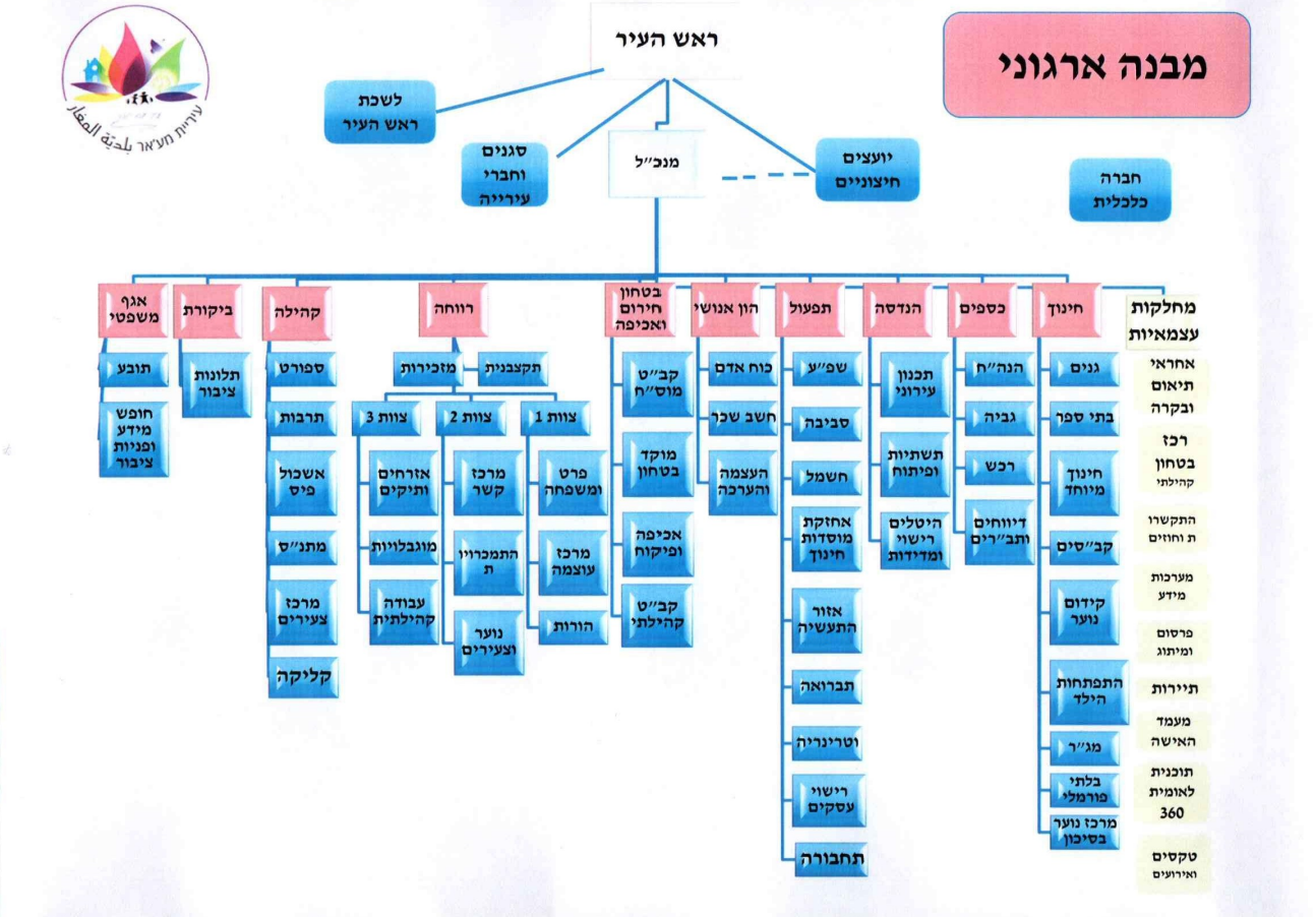 מבנה ארגוני